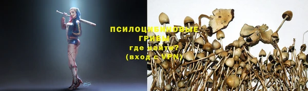 мет Пересвет