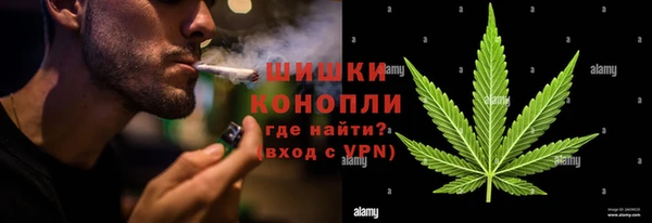 сатива Пестово