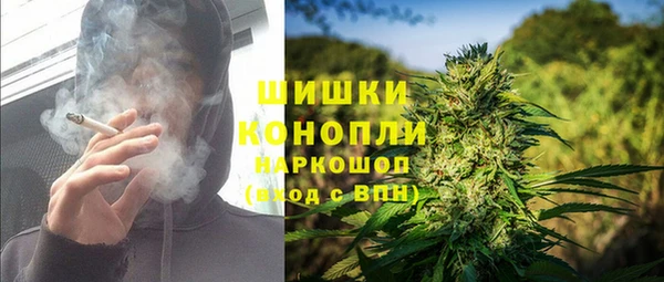 сатива Пестово