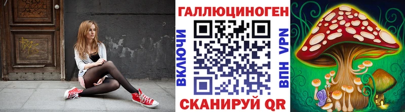 Галлюциногенные грибы Psilocybine cubensis Торопец